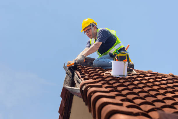 Best Roof Moss and Algae Removal  in Glendale Heights, IL